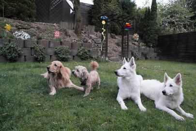 Bubi,Paul,Coralie,Keona